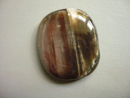 Placka - zkamenělé dřevo 44 mm, č.893f