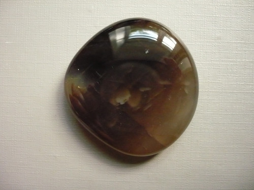 Placka - zkamenělé dřevo 41 mm, č.702f