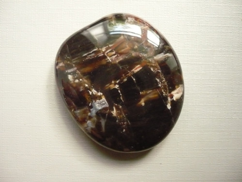 Placka - zkamenělé dřevo 43 mm, č.712f