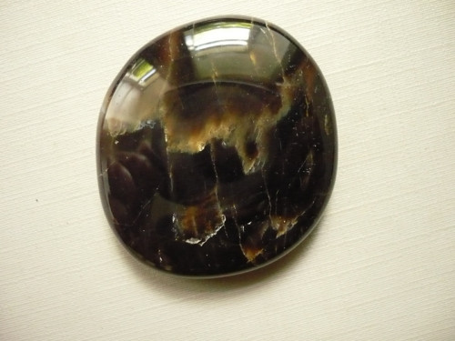 Placka - zkamenělé dřevo 42 mm, č.732f