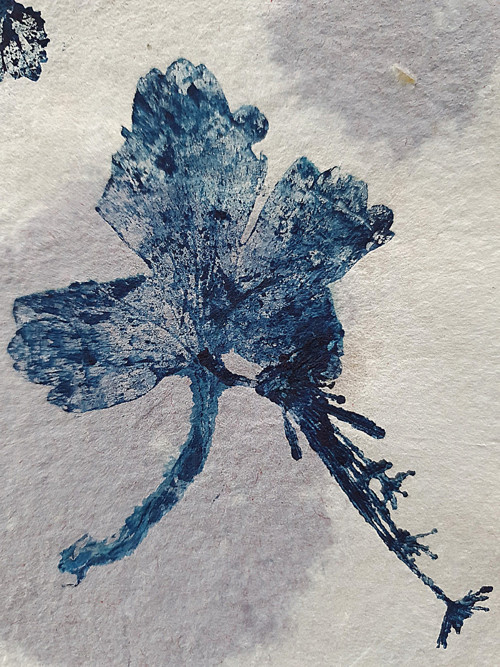 FLORALS - Hloh - Originální MONOTYP v rámu