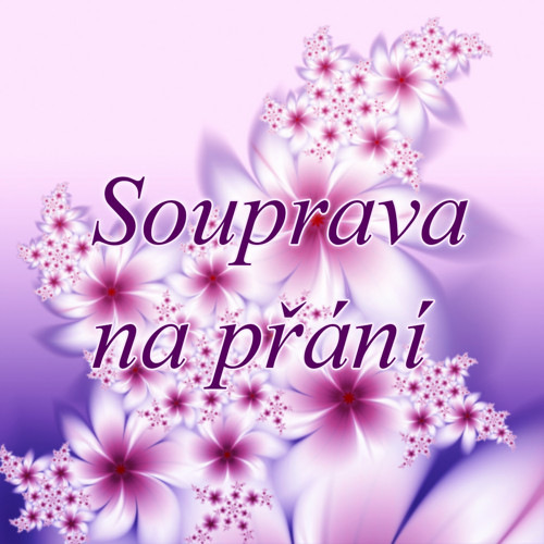 Souprava na přání — foto 1