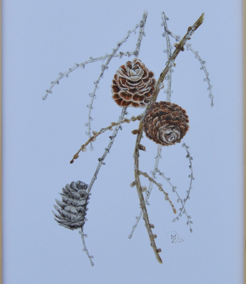 Originál, akvarel - šišky - 27,5 x 20cm