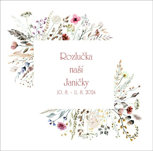 Rozlučka - na přání — foto 1