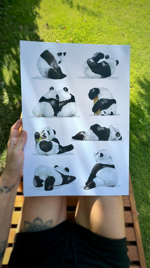 Pandy - akvarel, tisk A3