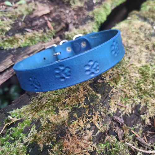 Choker psí stopy v modré