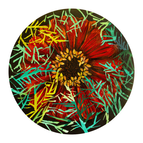 Květina Zinnia Elegans