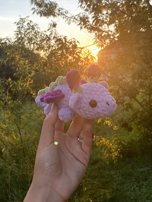 Dráček — foto 1