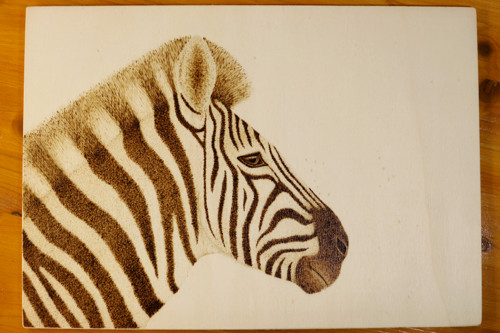 Vypálená zebra do dřeva