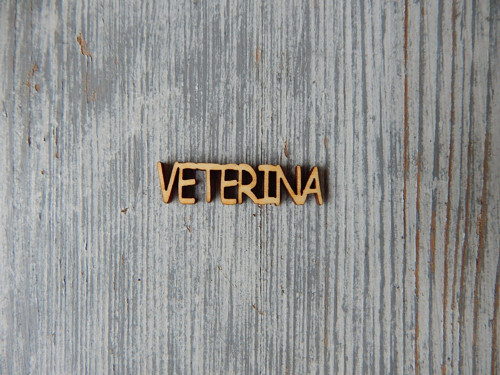 Výřez dřevěný Veterina