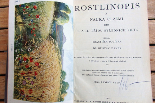 Rostlinopis — foto 1