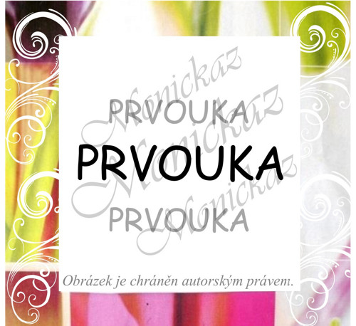 Prvouka 171 a). Razítko. — foto 1