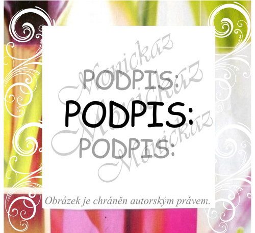 Podpis 113 a). Razítko.