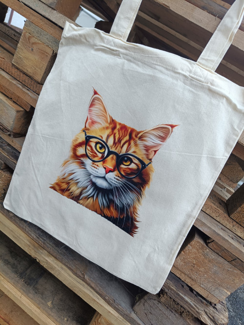 Zrzavá číča
