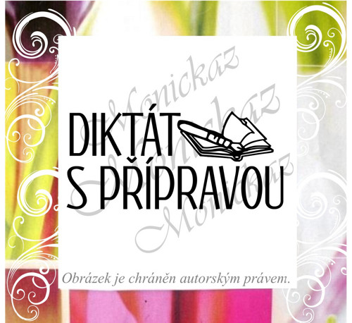 Diktát s přípravou 1201. Razítko. — foto 1