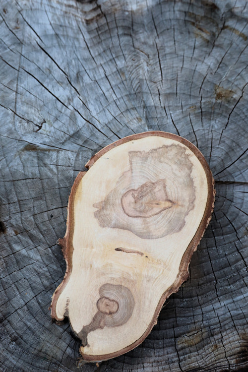 Chlapec na loďce, podnos, prkénko s kůrou, 32 cm