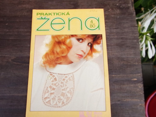 Praktická žena 4/80