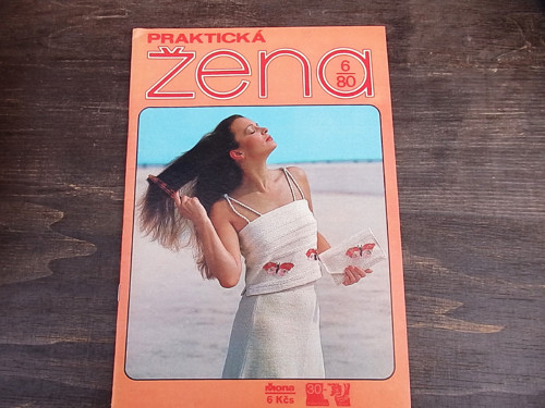Praktická žena 6/80