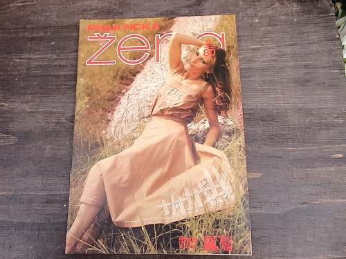 Praktická žena 8/80