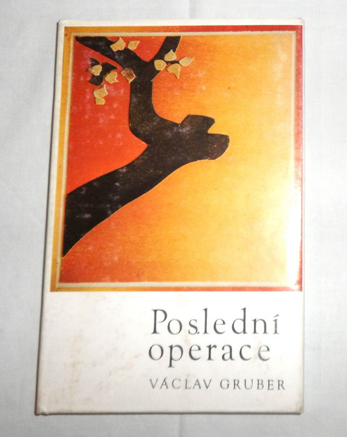 Václav Gruber: POSLEDNÍ OPERACE, román, 1988