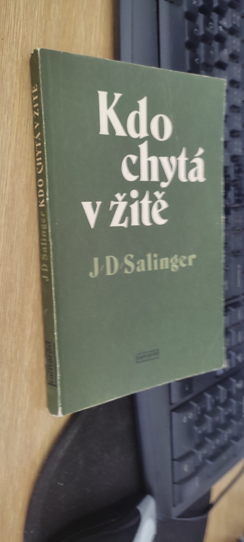 Kdo chytá v žitě - J.D. Salinger