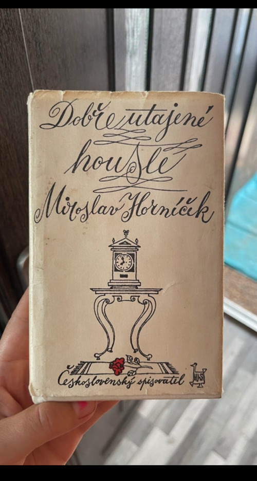 Dobře utajené housle — foto 1