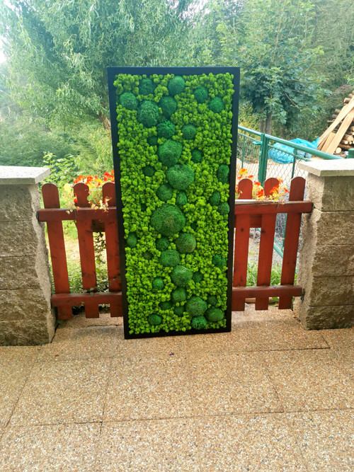 Mechový panel, obraz 60x140 cm