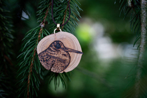 Sluka lesní - rakytníkový řez s pyrografií