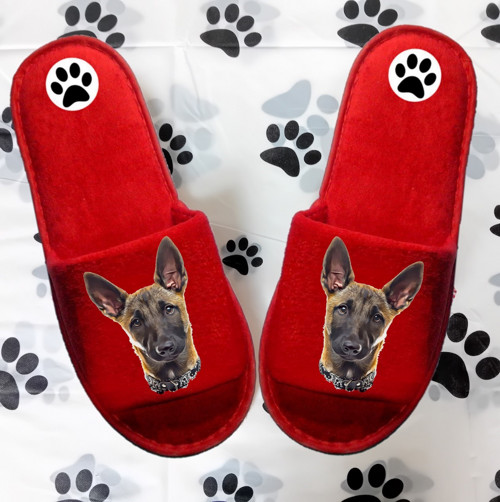Belgický Ovčák Malinois Bačkůrky- Pantofle