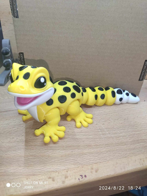 Malý Leopardí Gekon