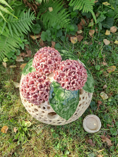 Koule s Hortensii — foto 1