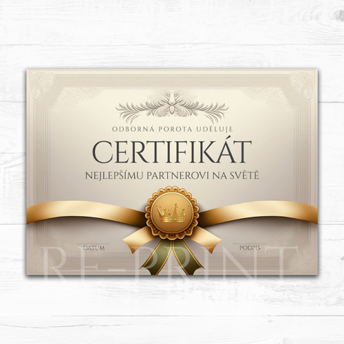 Certifikát nejlepšímu partnerovi ( PDF VERZE )