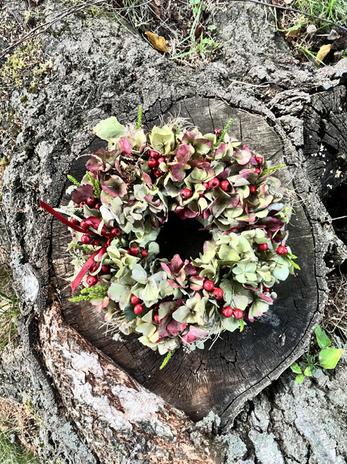Bobulový — foto 1