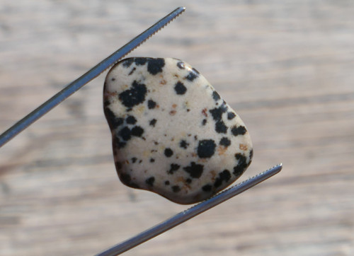 Jaspis dalmatin (23 mm) V466