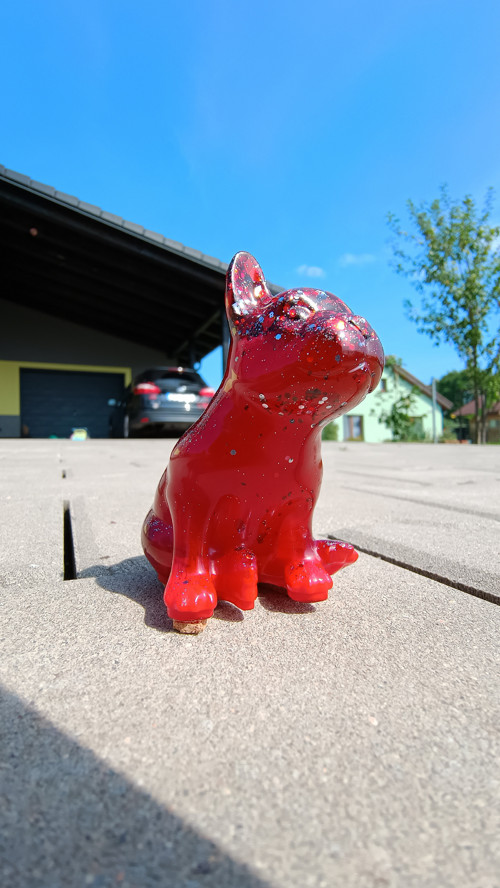 French Bulldog Red