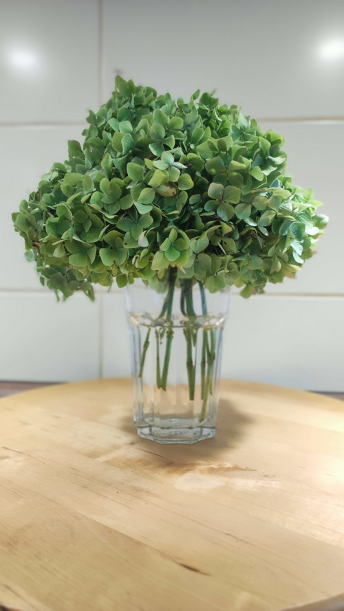 Pugétek Hortenzie green koule