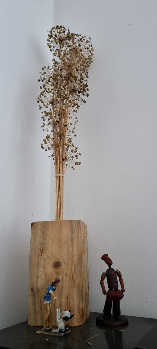 Ohňostroj. květy se semínky česneku 50 cm
