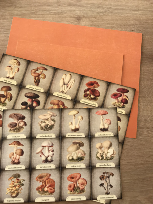 Pexeso - houby — foto 1