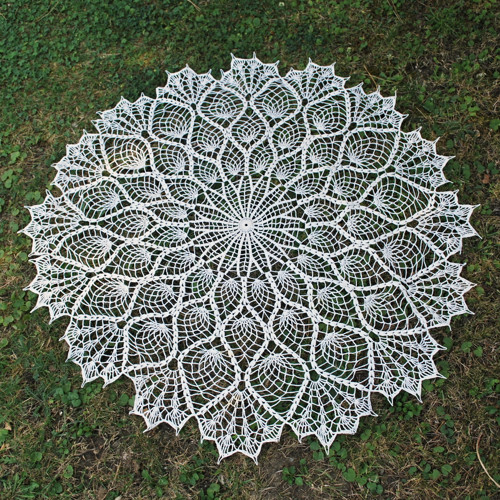 Ananas 18804 — foto 1