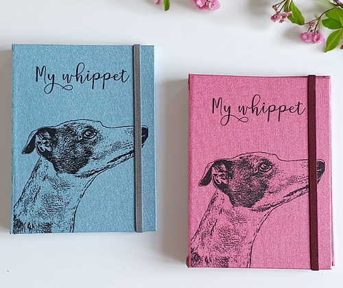 Pouzdro na pet passport - vipet