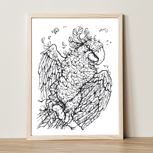 Ara Hyacintový - originál perokresba A4