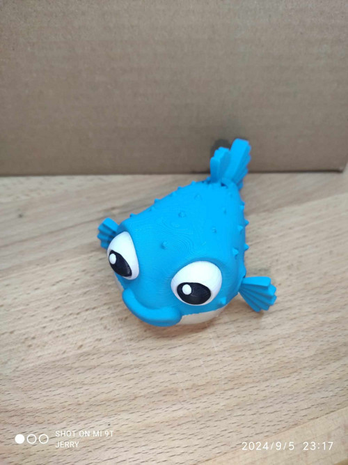 Naštvaná puffer ryba - normální