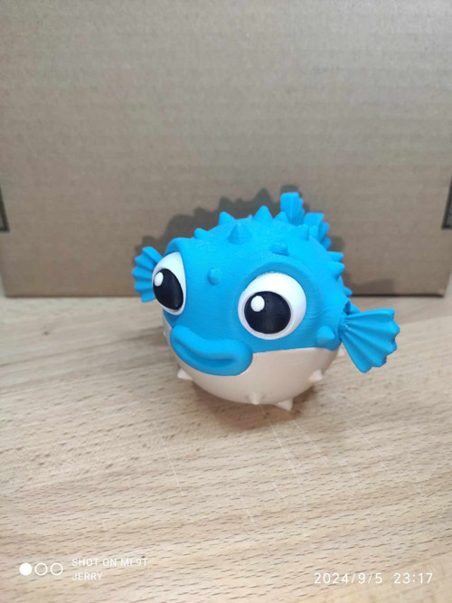 Naštvaná puffer ryba - nafouknutá