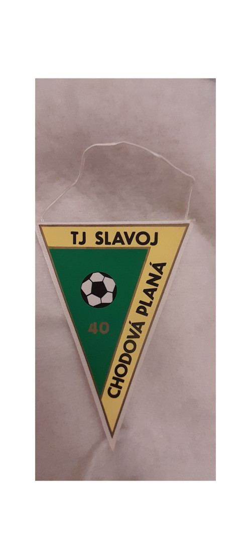 Tj Slavoj Chodová Planá — foto 1