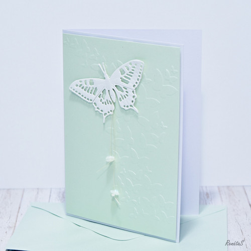 Přání - Greenish butterfly