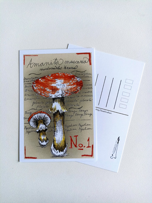Amanita