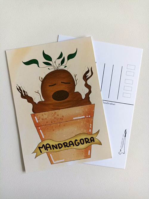Mandragora — foto 1