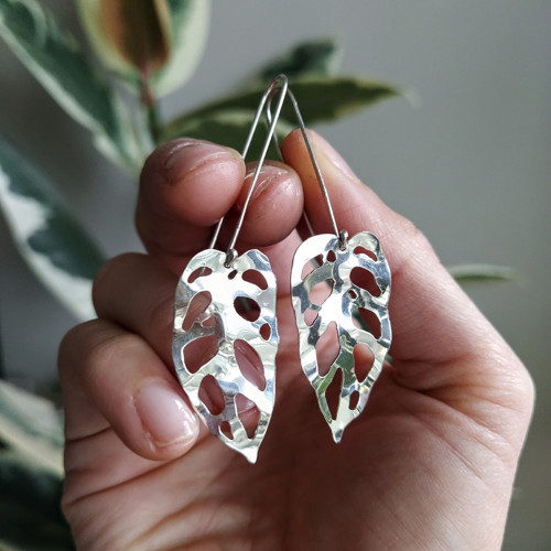 Monstera Adansonii velké stříbrné náušnice