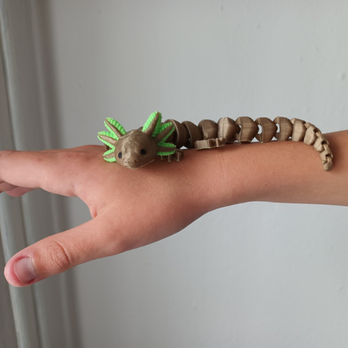 Axolotl — foto 1