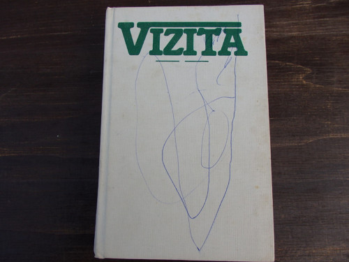 Vizita
